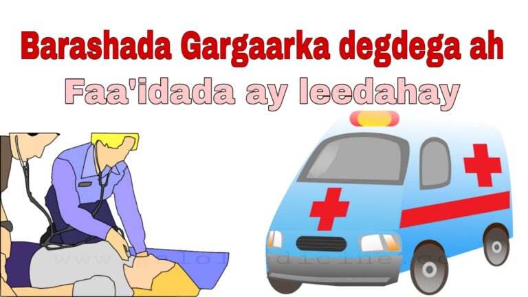 Read more about the article Maxay ahmiyad gaar ah leedahay barashada gargaarka degdega ah?