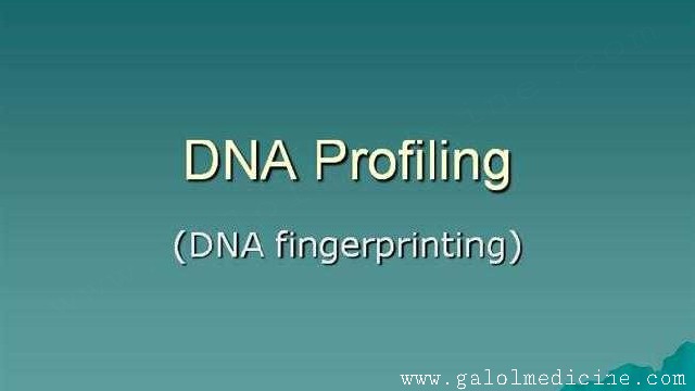 Read more about the article DNA Profiling
