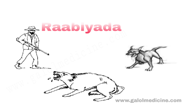 Read more about the article Raabiyada