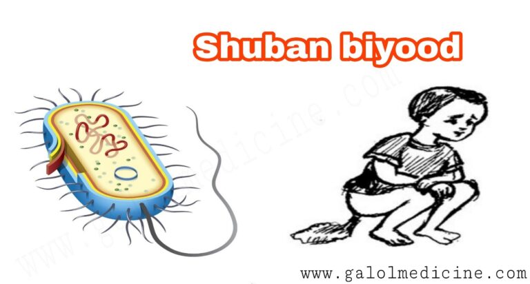 Read more about the article Shuban biyood