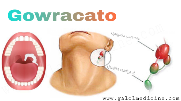 Read more about the article Gowracato