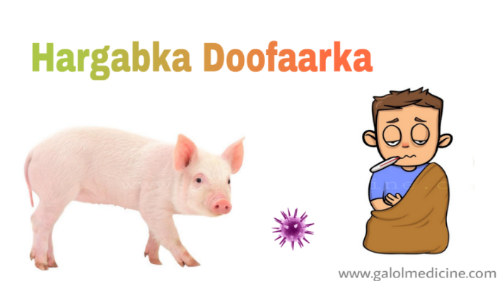 Read more about the article Hargabka Doofaarka