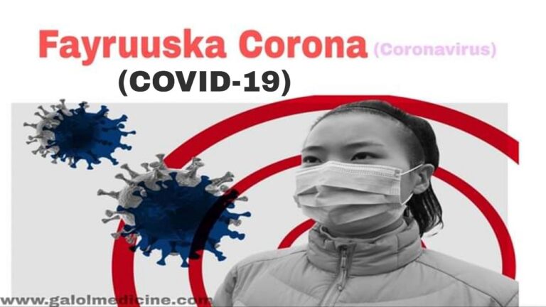 Read more about the article Fayruska Corona(2019nCoV)