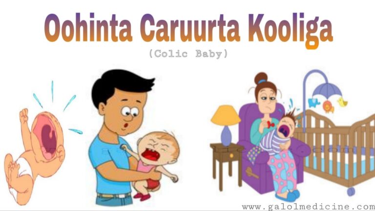 Read more about the article Oohinta Caruurta Kooliga