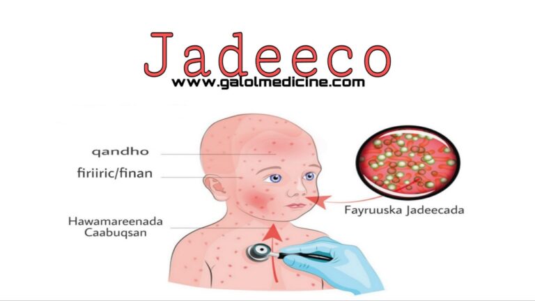 Read more about the article Jadeeco