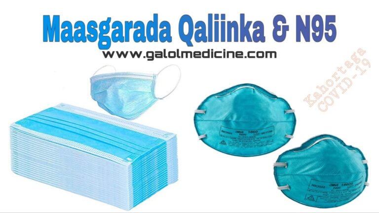 Read more about the article Maasgarada Qalliinka & N95