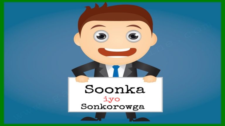 Read more about the article Soonka iyo Sonkorowga(Macaanka)