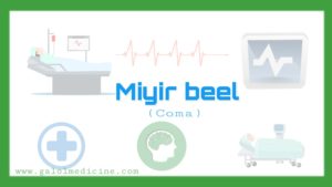 Miyir beel - galolmedicine.com