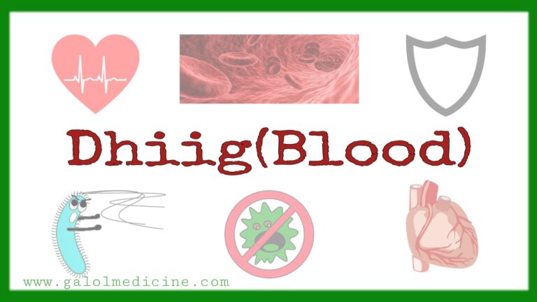 Read more about the article Dhiig(Blood)