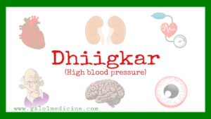 Dhiigkar(High Blood Pressure) - Galolmedicine