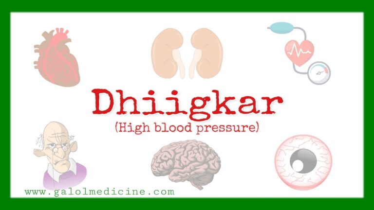 Read more about the article Dhiigkar(High blood pressure)