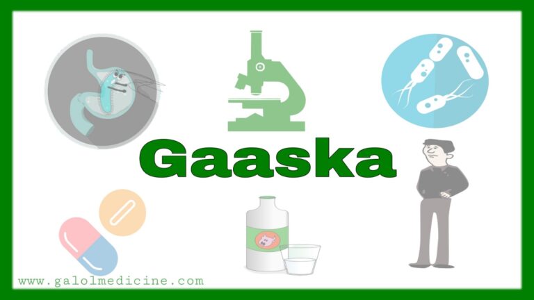 Read more about the article Gaaska
