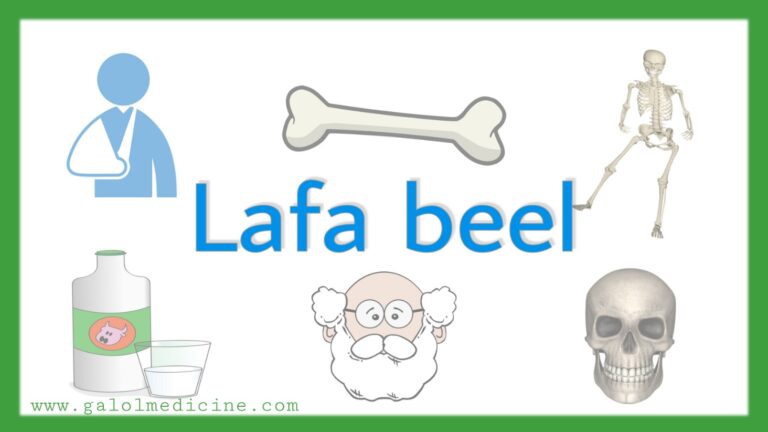 Read more about the article Lafa beel(Osteoporosis)