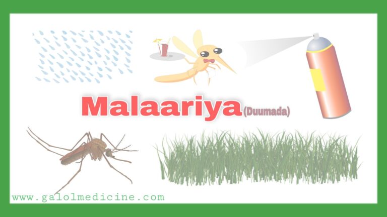 Read more about the article Malaariya(Malaria)