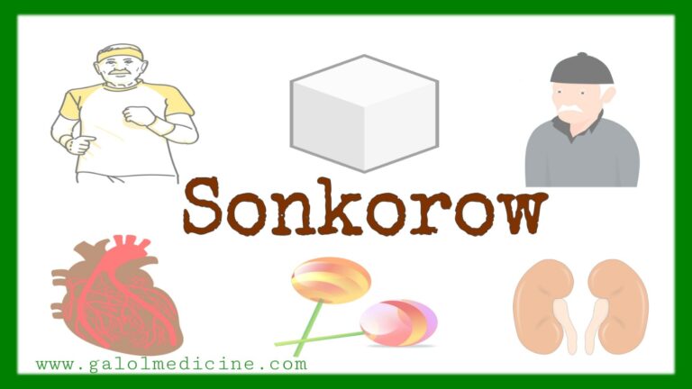Read more about the article Sonkorow(Macaan)