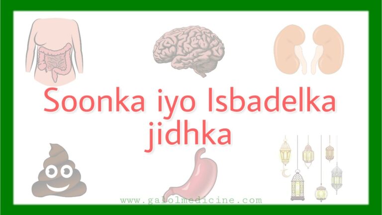 Read more about the article Soonka iyo Isbadelka Jidhka