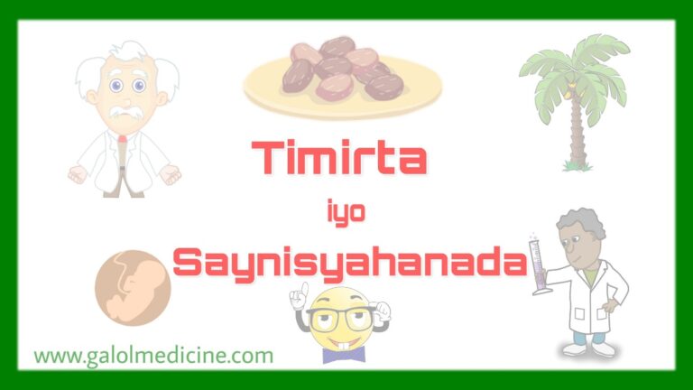 Read more about the article Timirta iyo Saynisyahanada